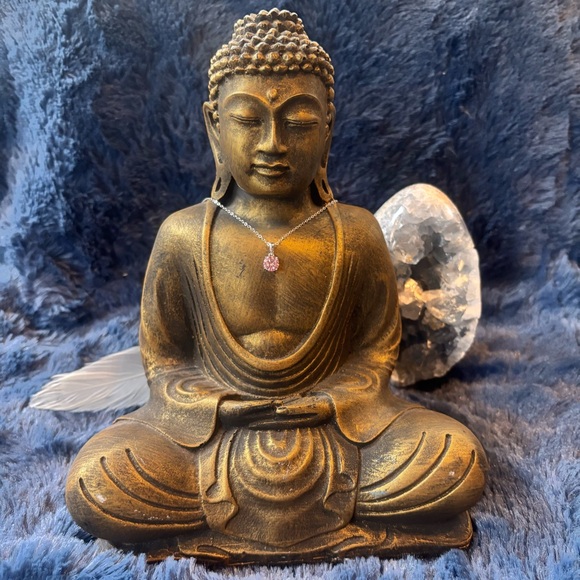 Unlisted Jewelry - 1ct  Pink.925 Moissanite Necklace Solitaire (20 inch Sterling Silver Chain